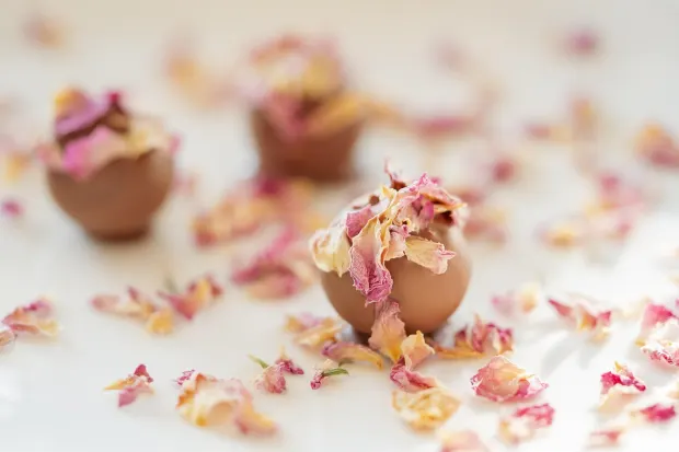 Pedalada10 Casino Aplicación Android/iOS